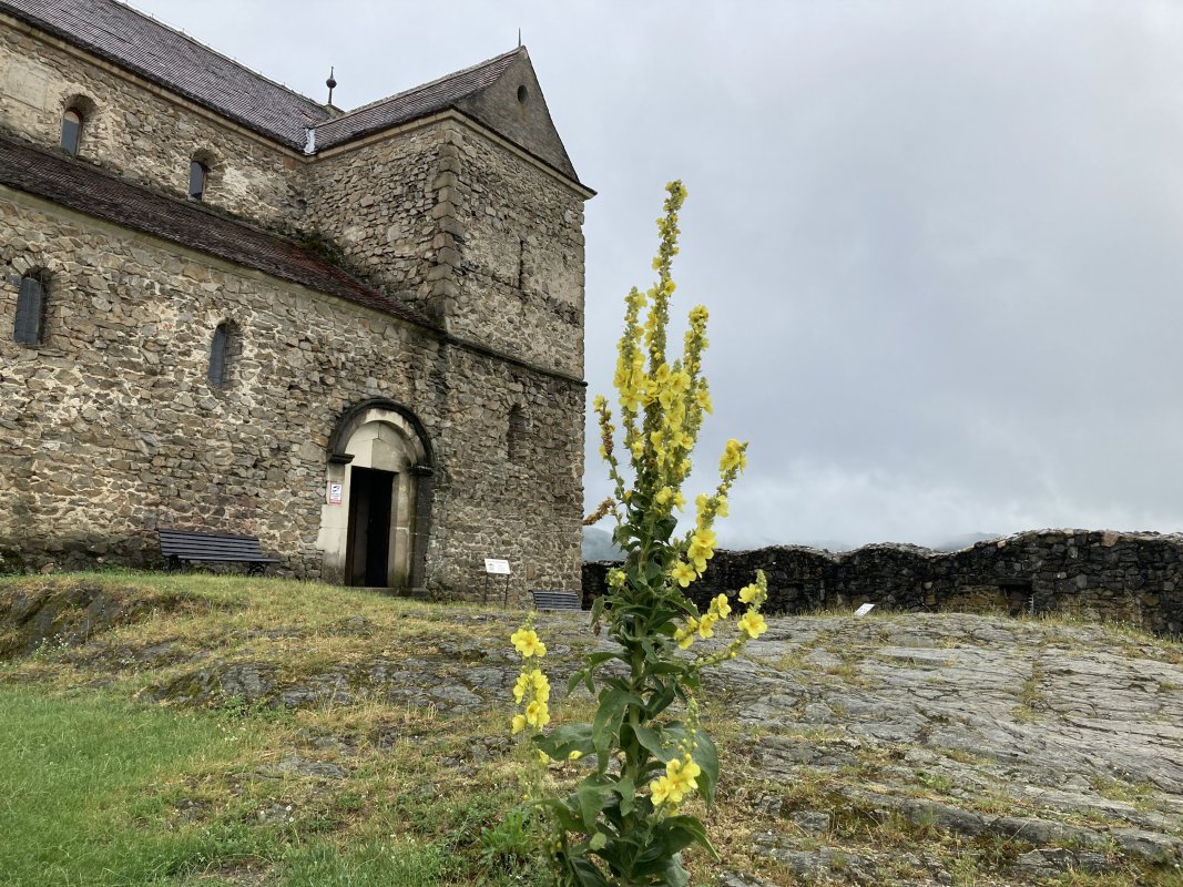 Wehrkirche Michaelsberg