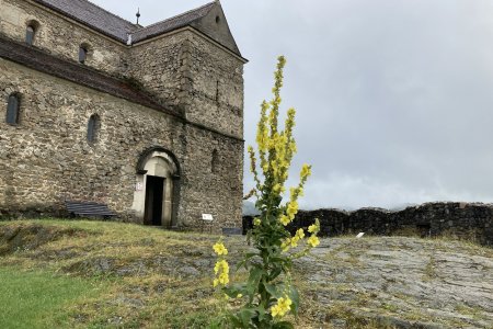 Wehrkirche Michaelsberg