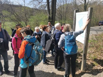 Unterwegs im Lainzer Tiergarten