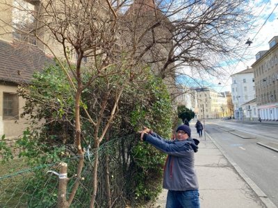 Workout beim Gartentag