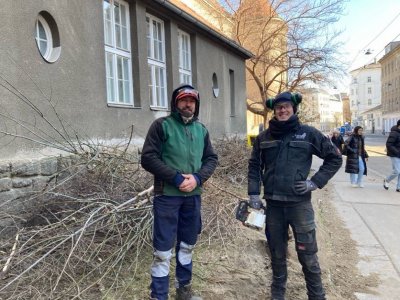 Die Gärtner-Profis rücken mit der Motorsäge an
