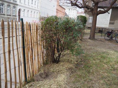 Fertig sind Zaun und Hecke Fertig sind Zaun und Hecke